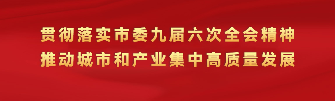 貫徹落實(shí)市委九屆六次全會精神